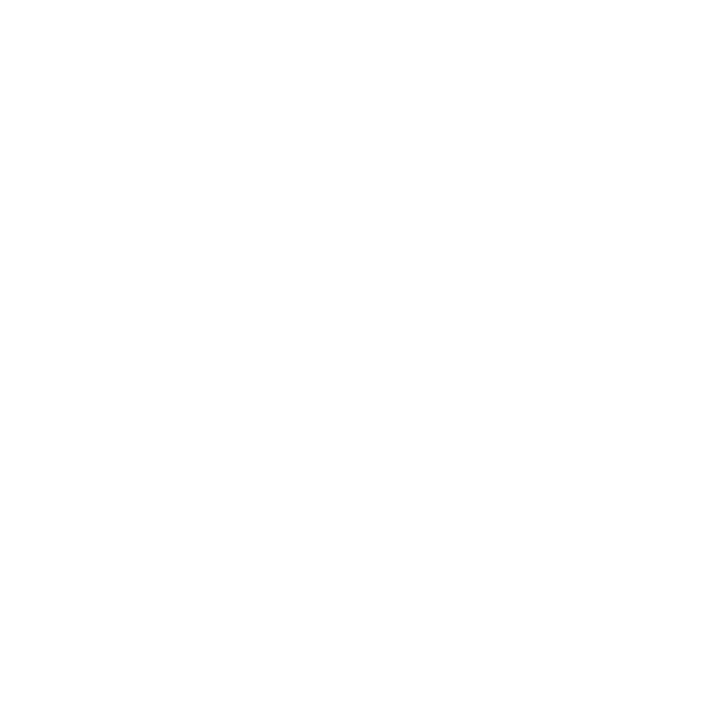 additonal services icon white