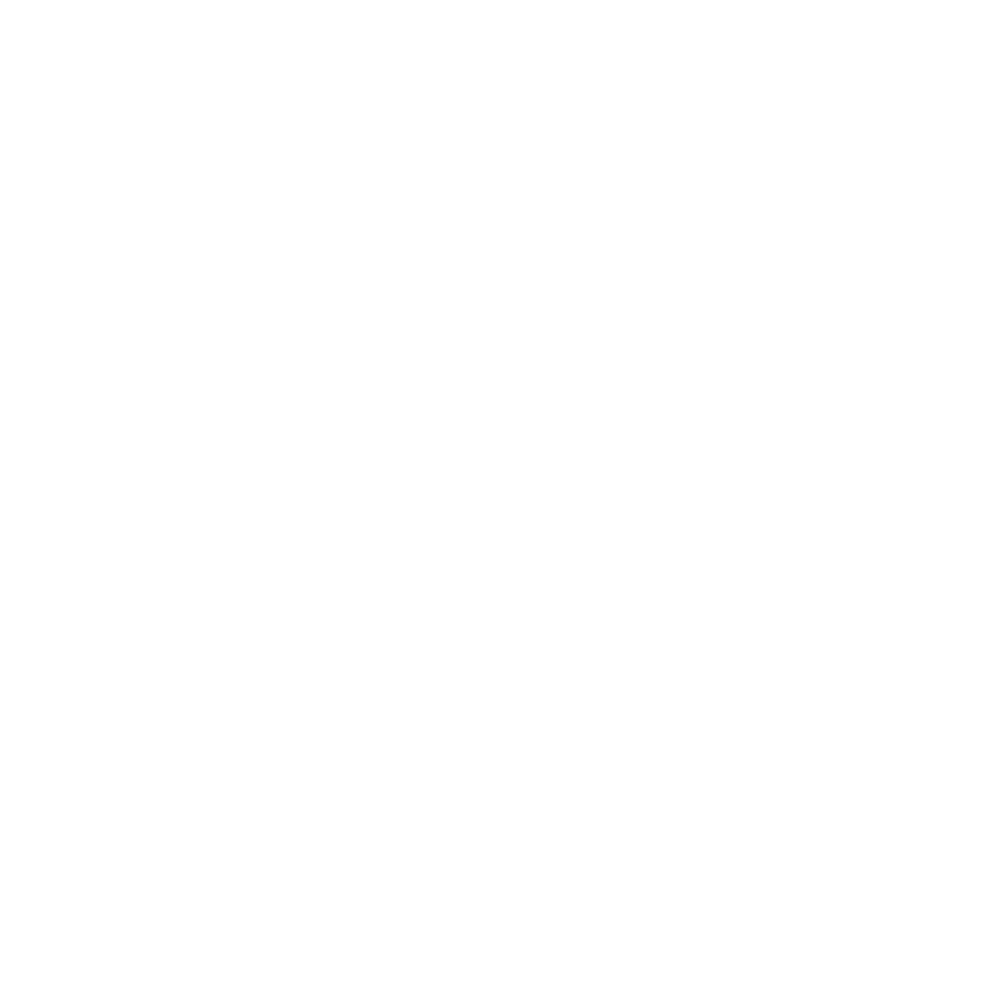 energy icon