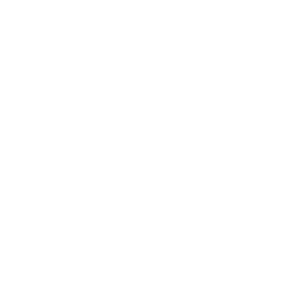 vision icon